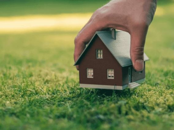 Уход за участком: как избежать отобрания права собственности